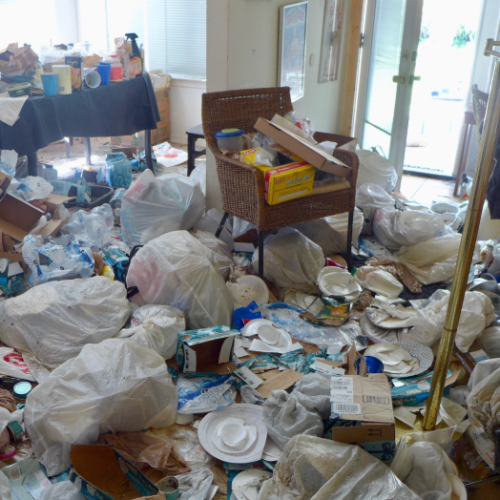 Hoarding Cleanouts