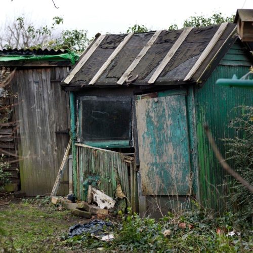 Shed Removal